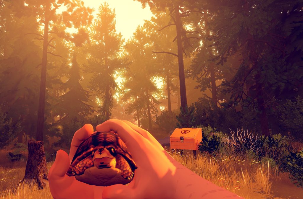 Игра про вышку в лесу. Firewatch. Firewatch Делайла. Игра про лесника Firewatch. Firewatch черепашка.